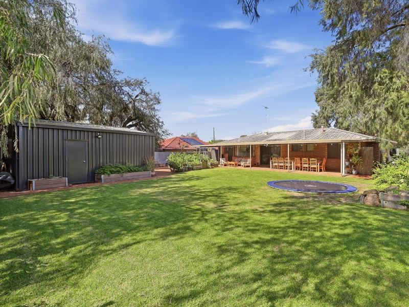 3 Ferguson Street, Falcon