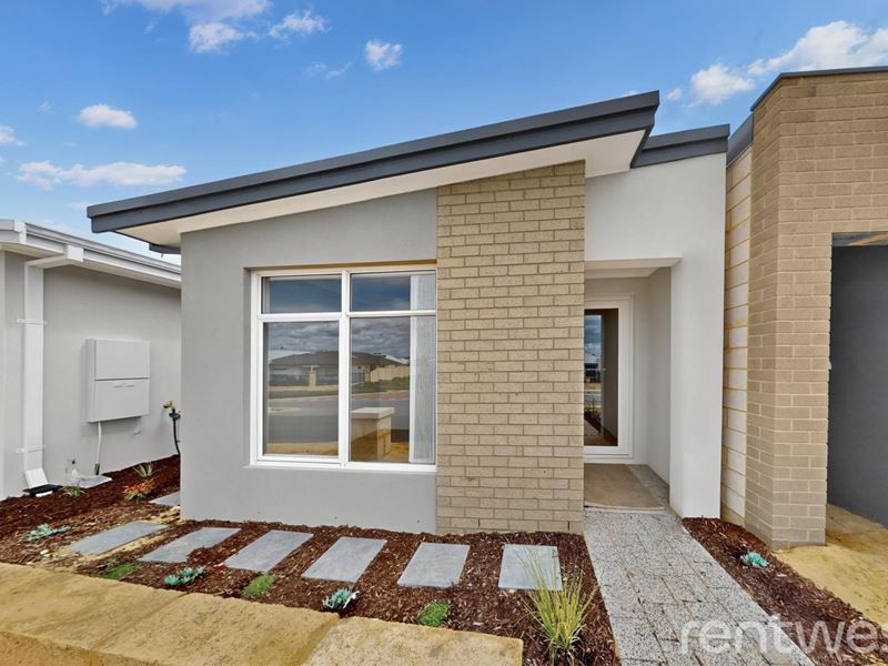 165 Badgerup Ave, Lakelands