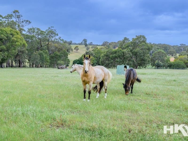 291 Morley Road, Lower Chittering WA 6084