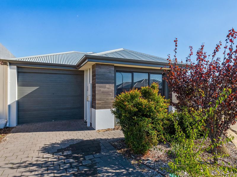 41 Abington Avenue, Baldivis WA 6171