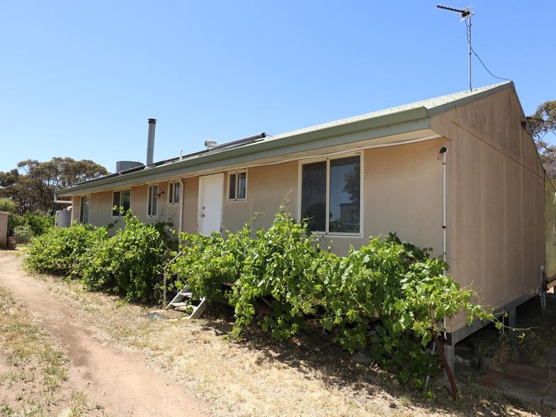 47 GLYDE STREET, Narrogin WA 6312