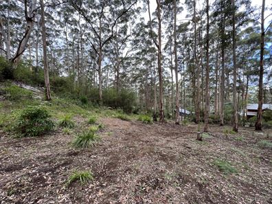 8 Adams Road, Denmark WA 6333