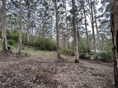 8 Adams Road, Denmark WA 6333