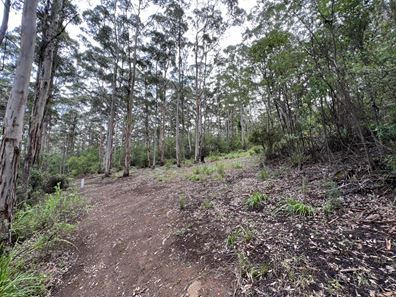 8 Adams Road, Denmark WA 6333