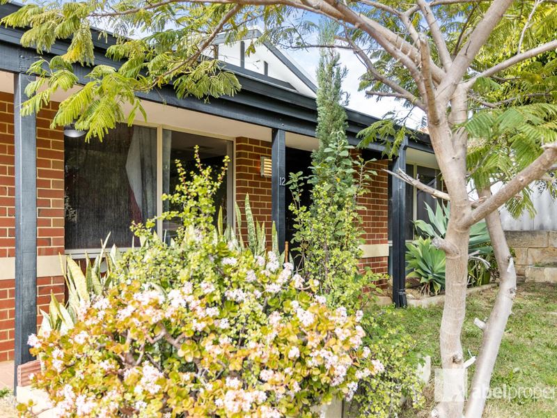 12 Ainsbury Parade, Clarkson