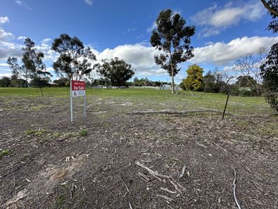 31 Moojebing Road, Katanning WA 6317