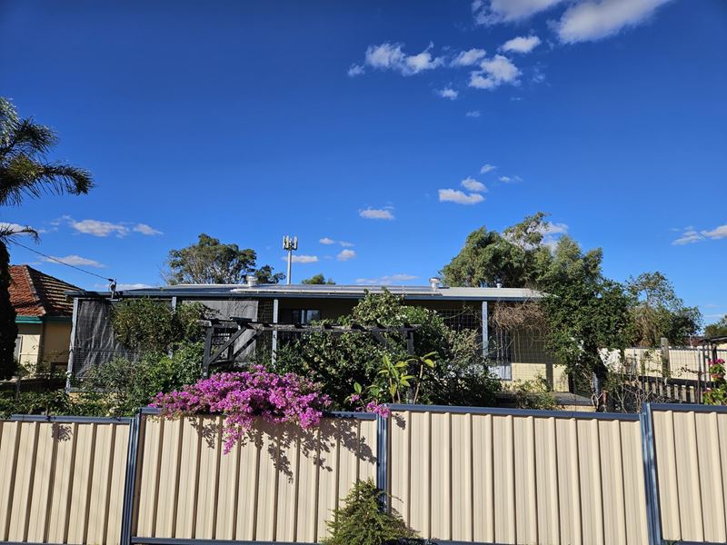 18 Victoria Road, Mingenew WA 6522