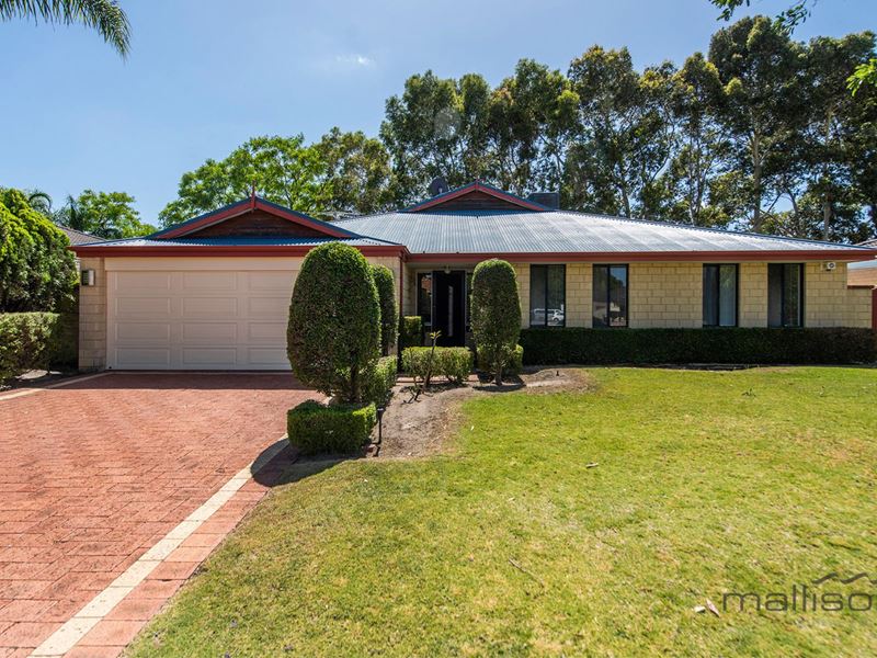 11 Leschenaultia Drive, Canning Vale WA 6155