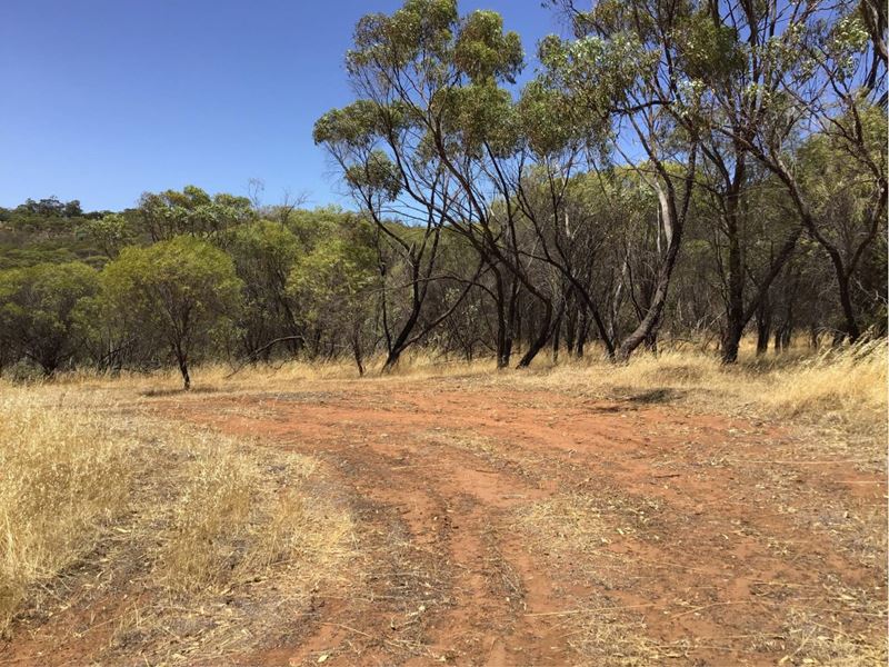 43 Timber Creek Crescent, Toodyay