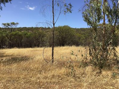 43 Timber Creek Crescent, Toodyay WA 6566