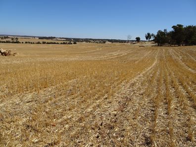 Grout Road, Cuballing WA 6311