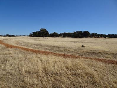 Grout Road, Cuballing WA 6311