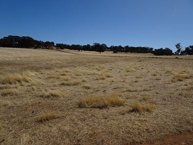 Grout Road, Cuballing WA 6311