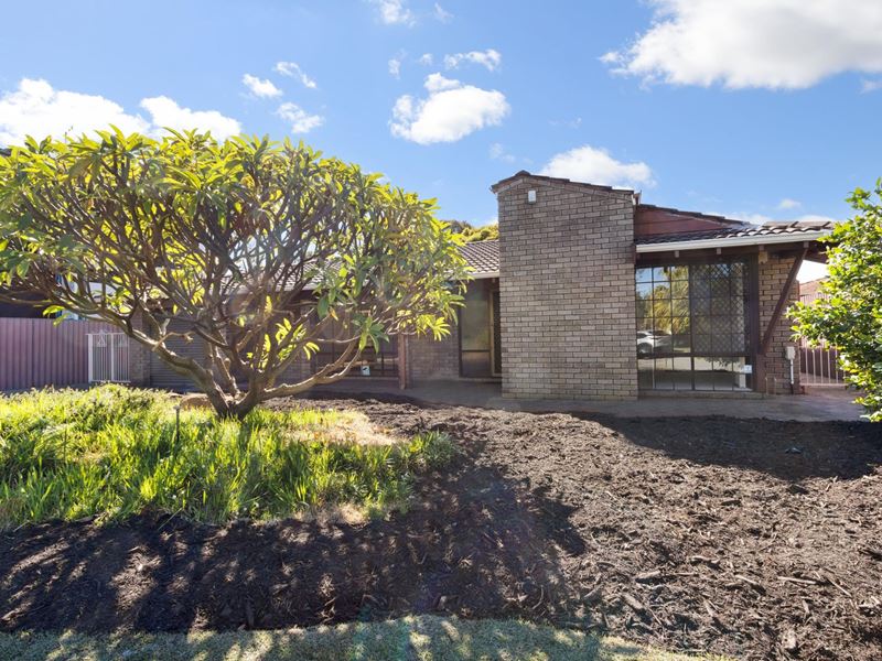 3 Townson Place, Leeming WA 6149