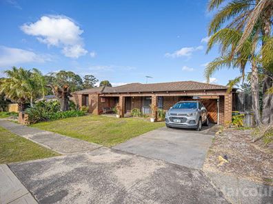 3 Leicester Square, Alexander Heights WA 6064