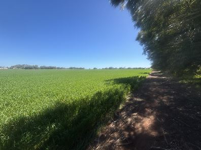 Lot 1152 Narngulu, Narngulu WA 6532