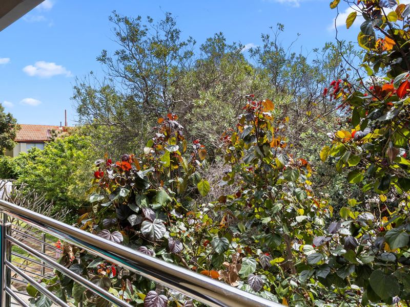 24/19 Blackwood Avenue, Hamilton Hill