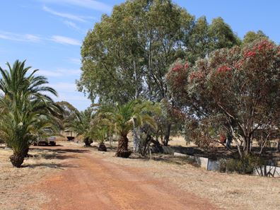 25 Farrall St, Bruce Rock WA 6418