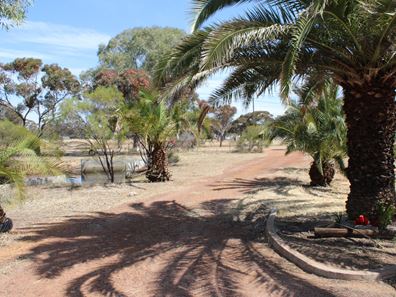 25 Farrall St, Bruce Rock WA 6418