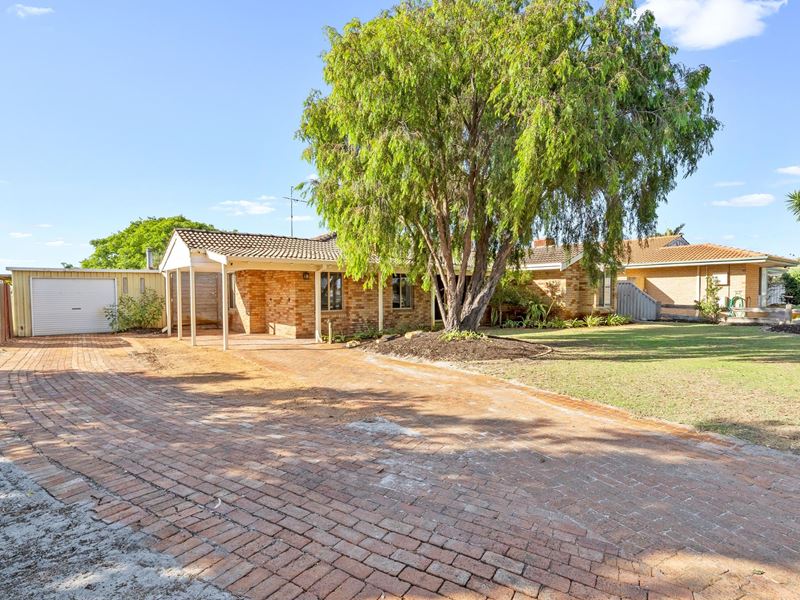 62 Mahogany Drive, Halls Head