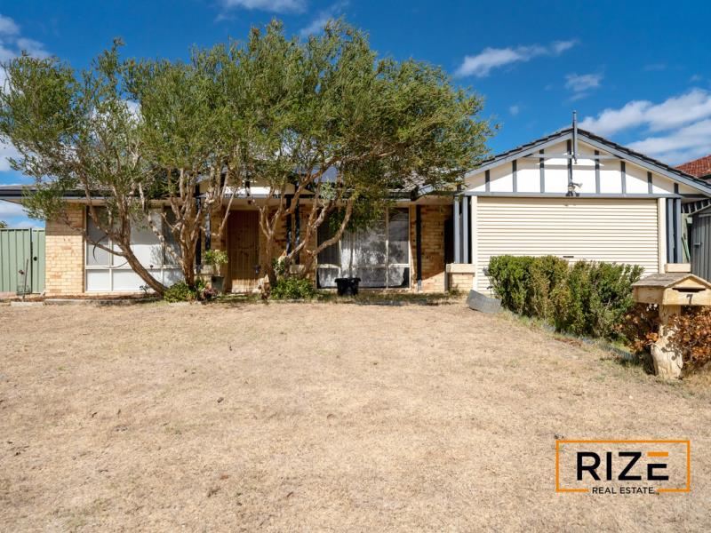 7 Celadon Loop, Banksia Grove WA 6031