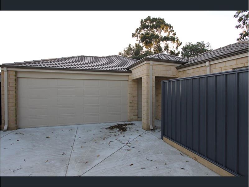 6A Netley Place, Armadale WA 6112