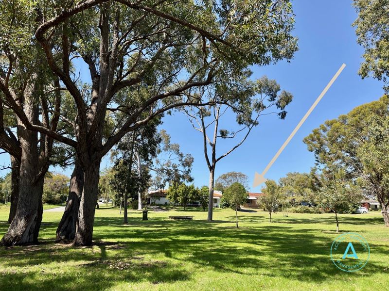 13 Carlson Street, Booragoon