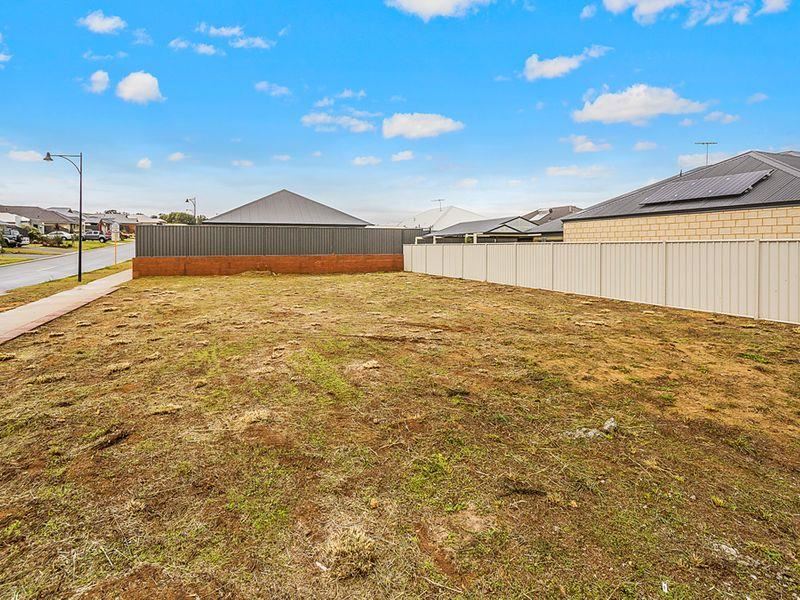 58 Firebrand Grove, Baldivis WA 6171