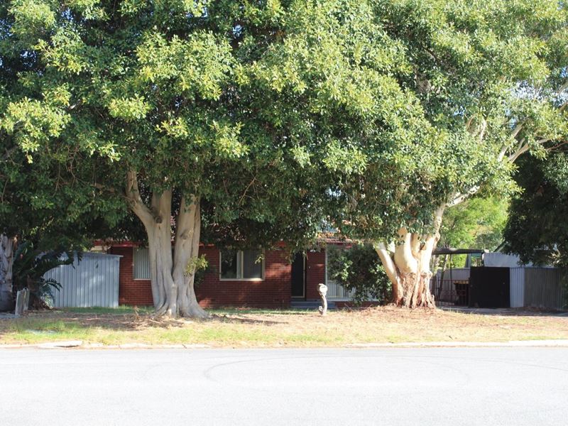 55 Doorigo Road, Armadale