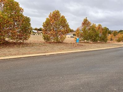 13 Galloway Drive, Bridgetown WA 6255