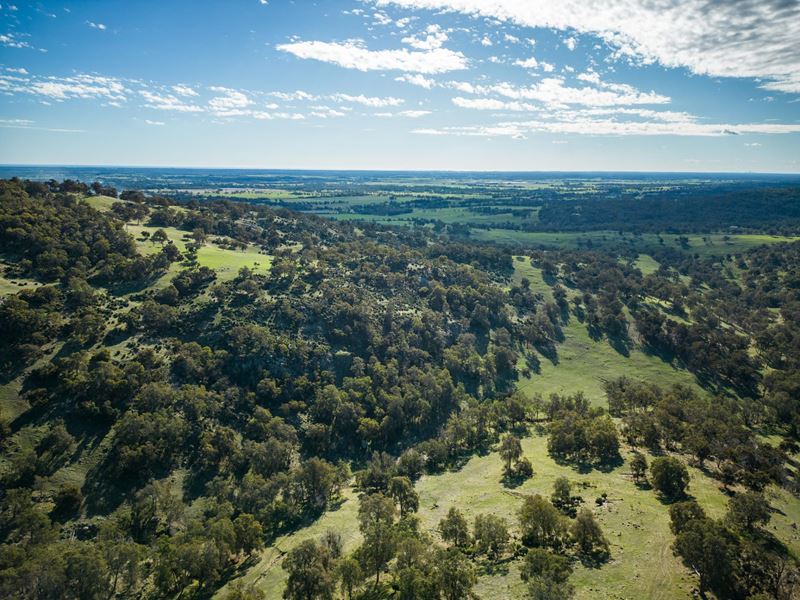 North Dandalup