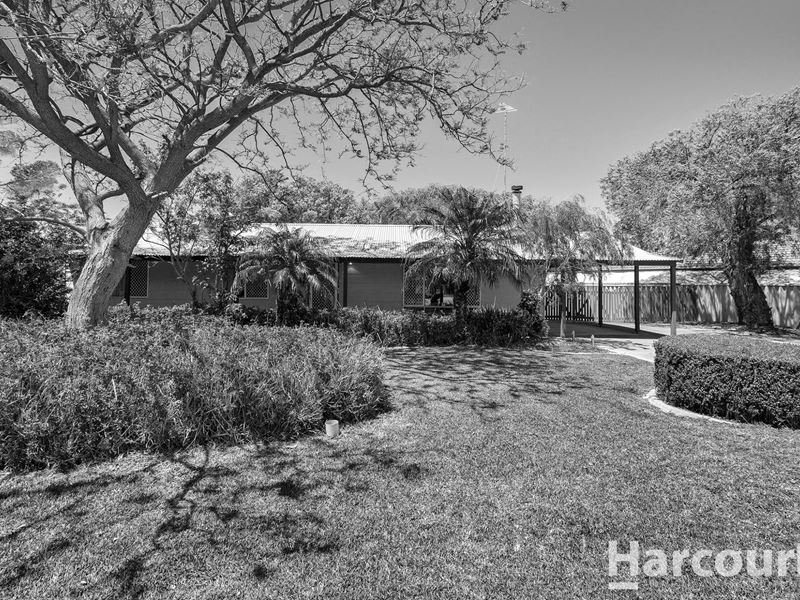 44 Linville Street, Falcon