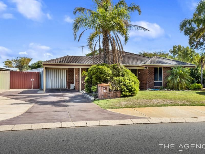 11 Senegal Grove, Warnbro