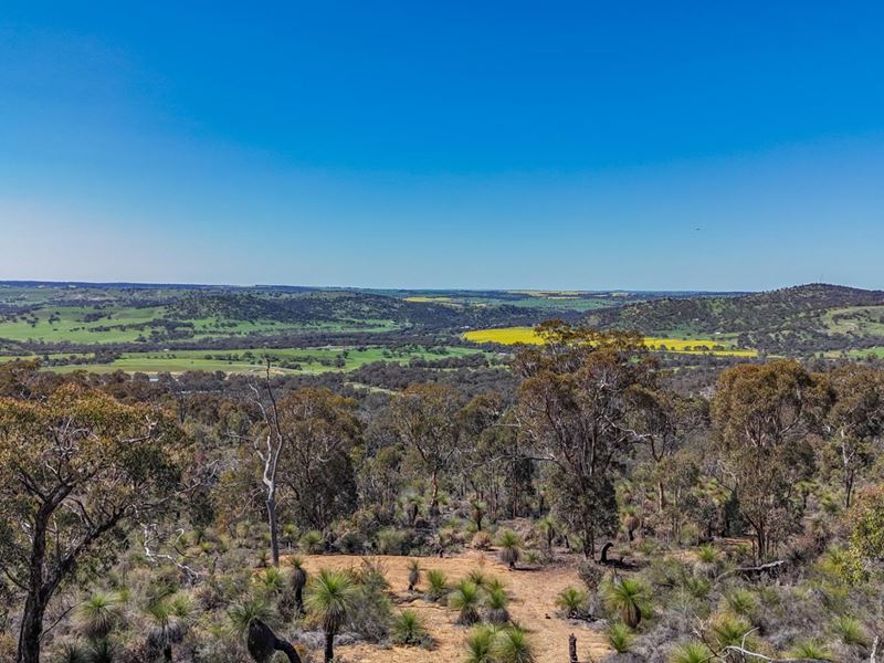 174 Drummondi Drive, Toodyay WA 6566