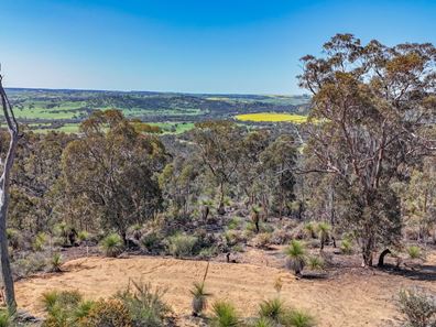 174 Drummondi Drive, Toodyay WA 6566