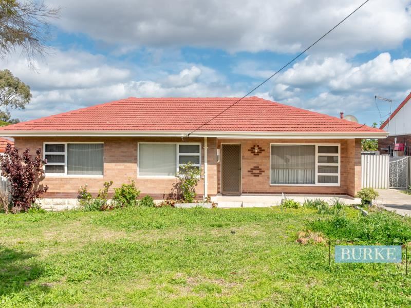 11 Hotchkiss Drive, Balcatta WA 6021