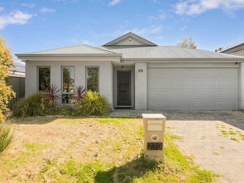 273 Lambeth Circle, Wellard WA 6170