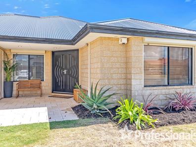 2 Writtle Street, Butler WA 6036