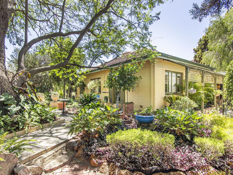 127 Manning Road, Bentley