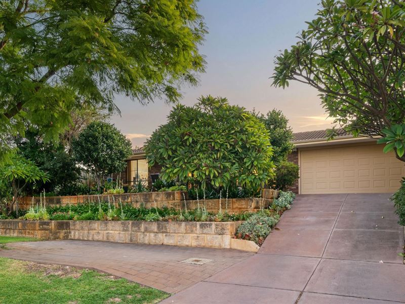 41 Collinson Way, Leeming