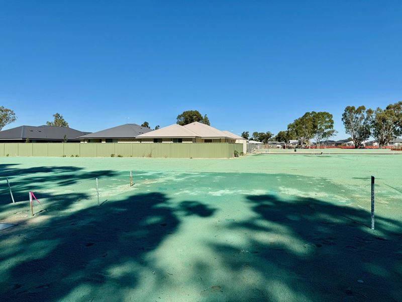 44 Blossom Parkway, Henley Brook WA 6055