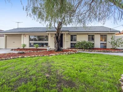 67 Strelitzia Avenue, Forrestfield WA 6058