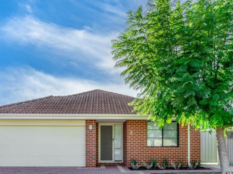 3 Treemartin Place, East Cannington