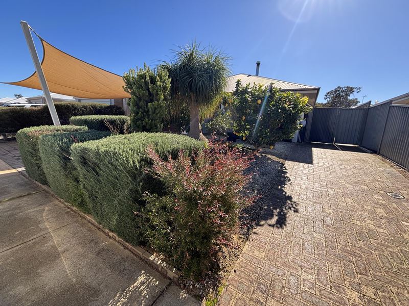12A Whittaker Way, Waroona