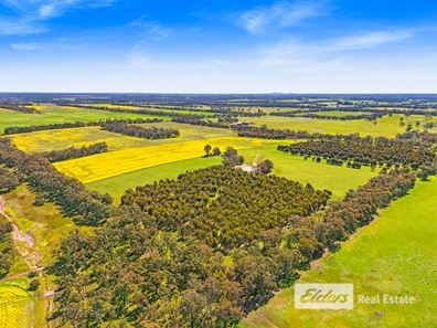 225 West Beattie Road, Mount Barker WA 6324
