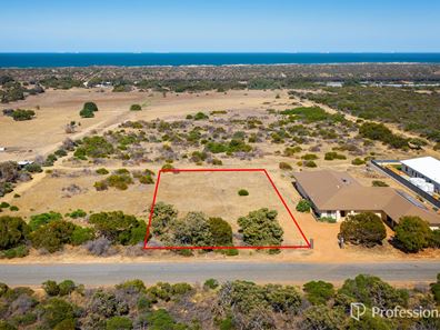 291 Alexander Drive, Glenfield WA 6532