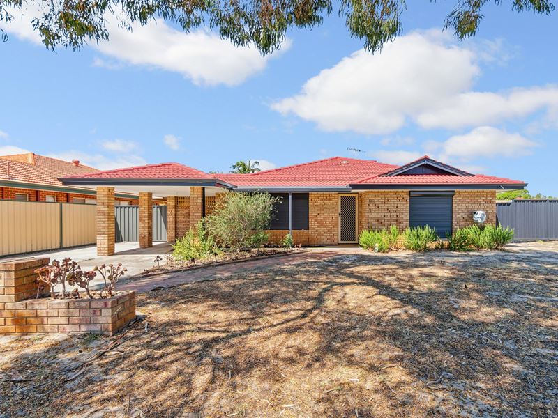 36 Rosella Circle, Ballajura WA 6066