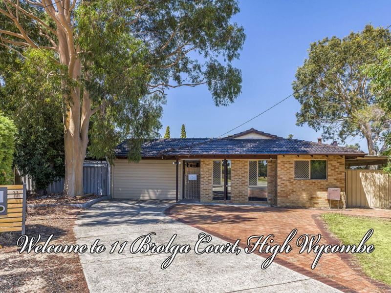 11 Brolga Court, High Wycombe