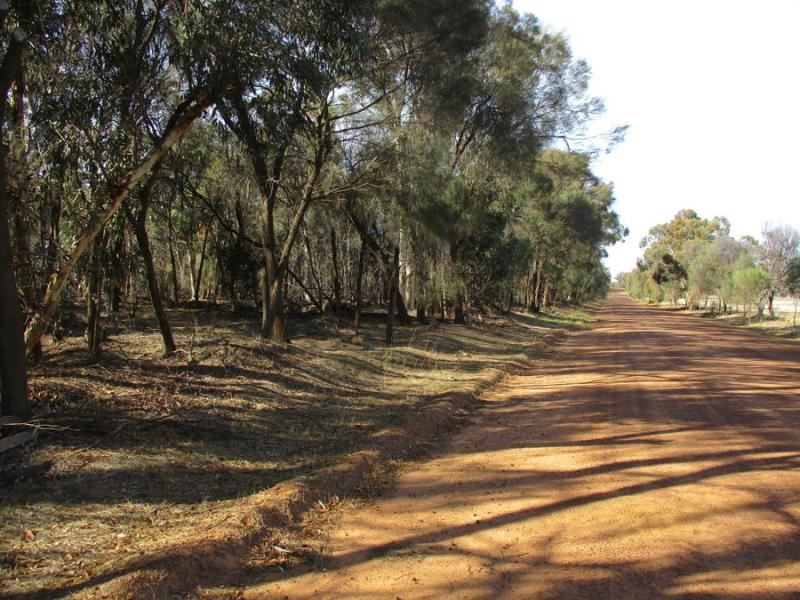 Lot 9981 Dardadine Road, Darkan