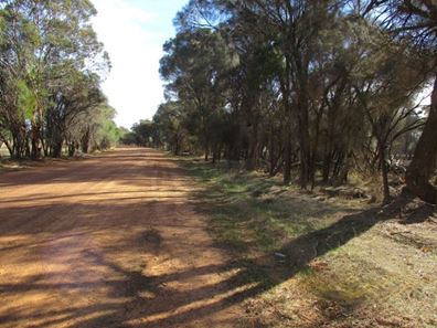 Lot 9981 Dardadine Road, Darkan WA 6392